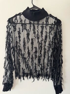 Zara Black Sheer Feather-Trim Mock Neck Long Sleeve Top